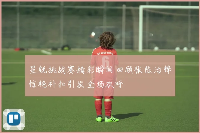 星锐挑战赛精彩瞬间回顾张陈治锋惊艳补扣引发全场欢呼