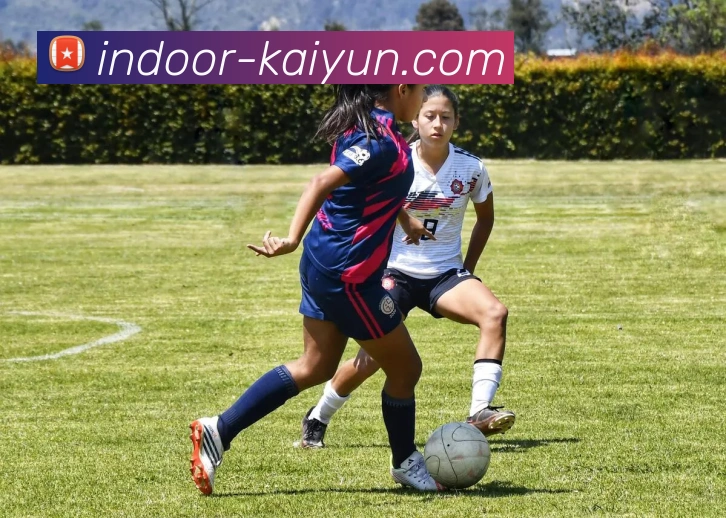 开云官网发展历程